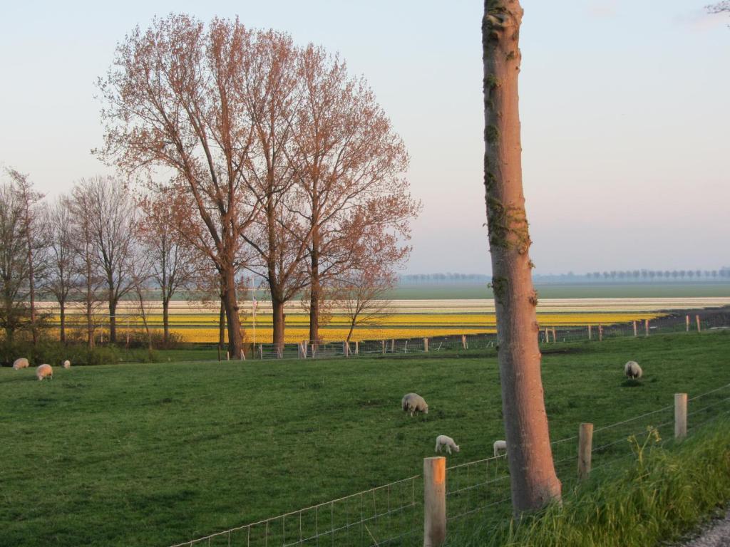 Bed En Breakfast In Het Fruit Zuidoostbeemster ภายนอก รูปภาพ